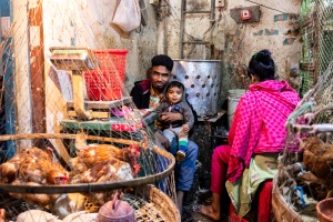 Dhaka - slum Sat Tola Bosti - Venditore di polli attorniato dalla sua famiglia