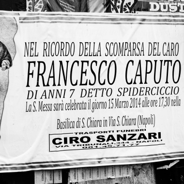 Francesco Caputo, detto "spiderciccio"